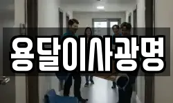용달이사광명