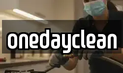 onedayclean