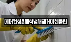 에어컨청소세척냄새제거이젠클린