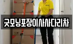 굿모닝포장이사사다리차