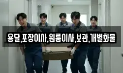 용달,포장이사,원룸이사,보관,개별화물