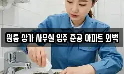 원룸 상가 사무실 입주 준공 아파트 외벽