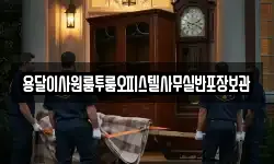 용달이사원룸투룸오피스텔사무실반포장보관