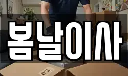 봄날이사