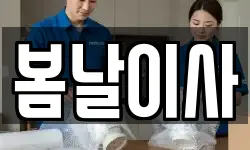 봄날이사