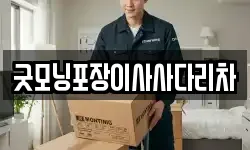굿모닝포장이사사다리차
