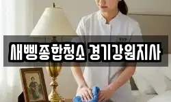 새삥종합청소 경기강원지사