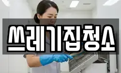 쓰레기집청소