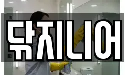 닦지니어