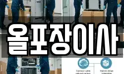 올포장이사