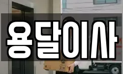 용달이사