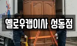 옐로우캡이사 성동점