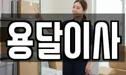 용달이사