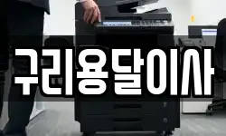 구리용달이사