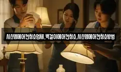 시스템에어컨청소업체,벽걸이에어컨청소,시스템에어컨청소방법