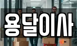 용달이사