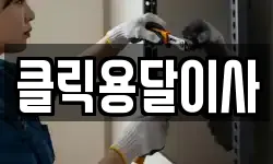 클릭용달이사