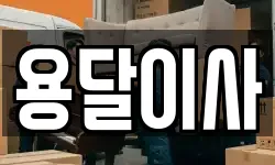 용달이사