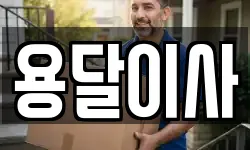 용달이사