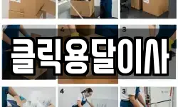클릭용달이사