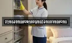 모던청소공장청소바닥왁스사무실청소준공청소상가청소바닥청소