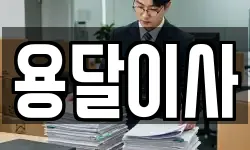 용달이사