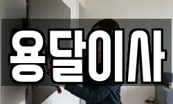 용달이사