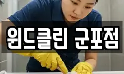 윈드클린 군포점