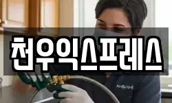 천우익스프레스