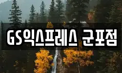경기도 군포시 당정동 이사,용달이사,포장이사,원룸이사,보관이사