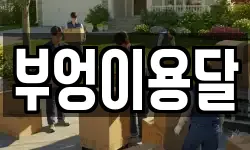부엉이용달