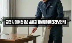 자동차에어컨청소냄새제거실내에바크리닝업체