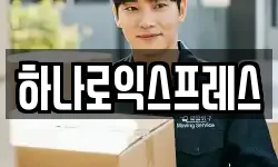 하나로익스프레스