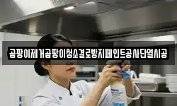 곰팡이제거곰팡이청소결로방지페인트공사단열시공
