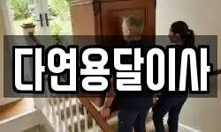 다연용달이사