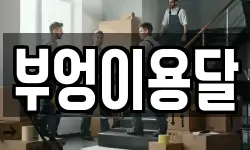 부엉이용달
