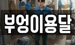부엉이용달