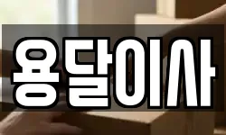 용달이사