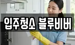 입주청소 블루비버