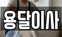 용달이사