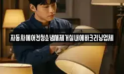자동차에어컨청소냄새제거실내에바크리닝업체