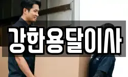 강한용달이사