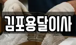 김포용달이사