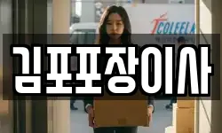 김포포장이사