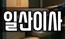 일산이사