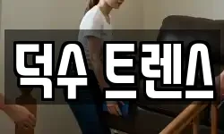 덕수 트렌스