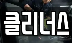 클리너스