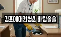 경기도 김포시 양촌읍 청소,입주청소,사무실청소,에어컨청소