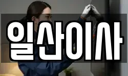 일산이사