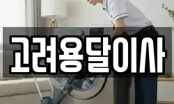고려용달이사